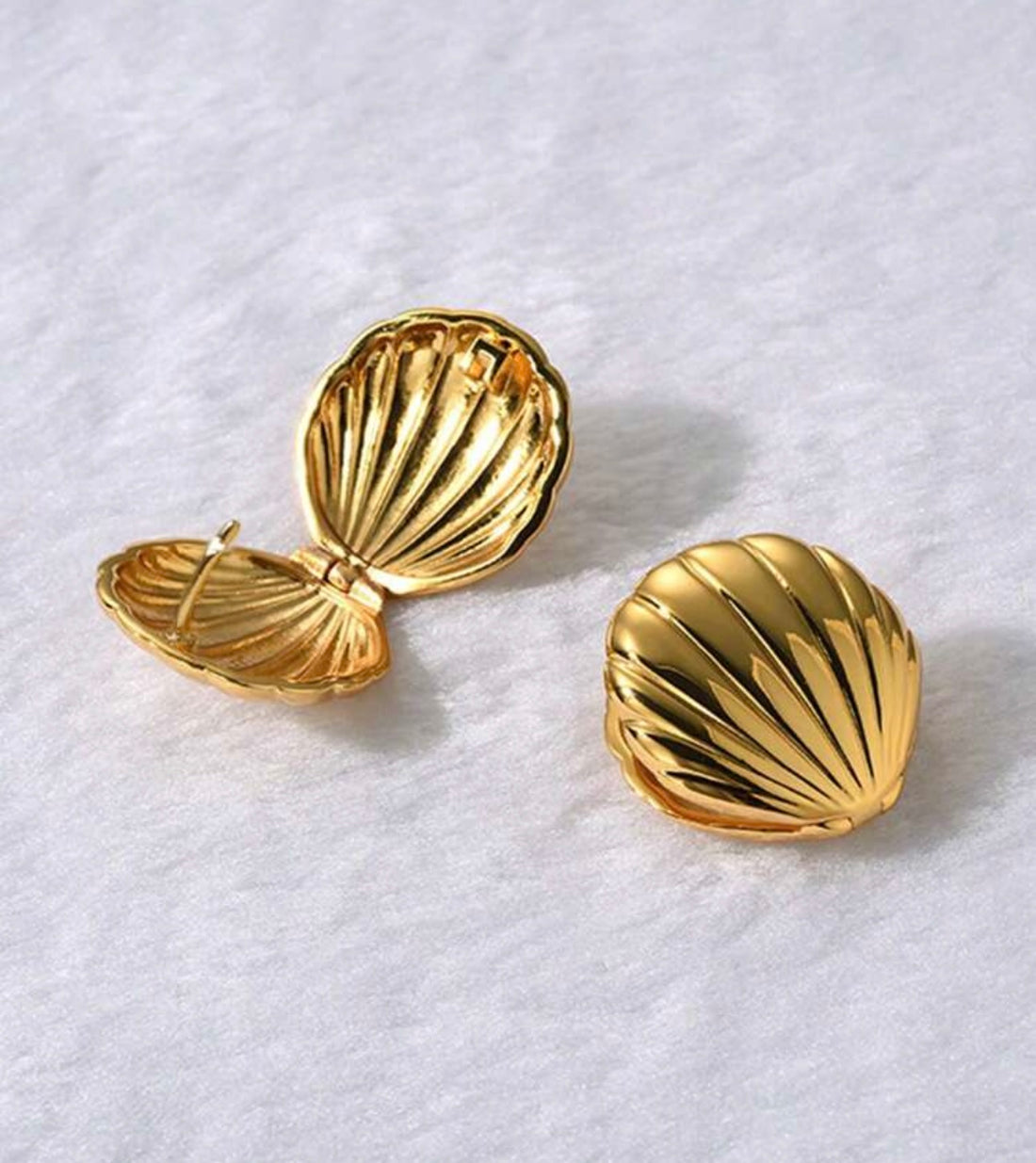 Golden Clam Shell Earrings
